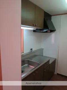 かんまつロックガーデン【202号室】のキッチン