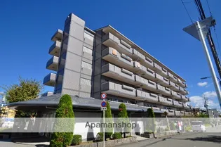 カプリコーナスの画像