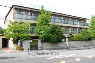 マイシャトレーの画像