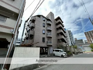 マンションポニーの画像