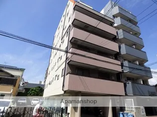 エルシャイン光の画像