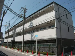 エヴァーホワイトの画像