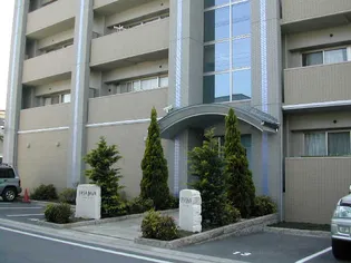 カーサリーヴァの画像