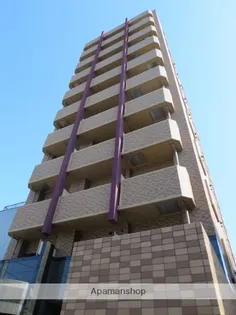 ディナスティ東大阪センターフィールドの画像