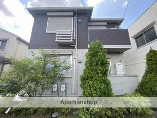 ルピナスの画像