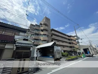 ノースフライトの画像