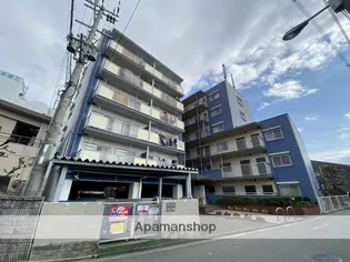ウィンディ田中の画像