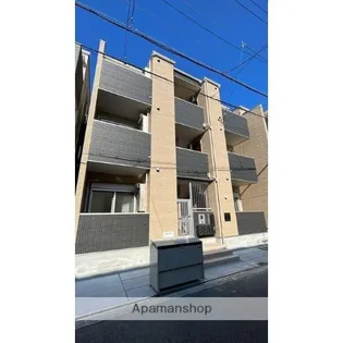 FELICE ROCCO SHOJIHIGASHIの画像