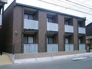 レオネクストパインツリーの画像