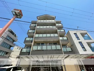 パライッソタマツの画像