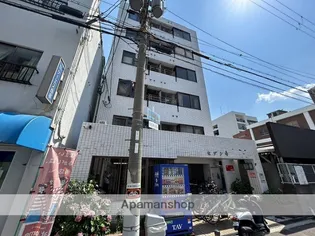 セゾンコトブキの画像