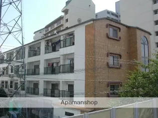 エレガンス5の画像