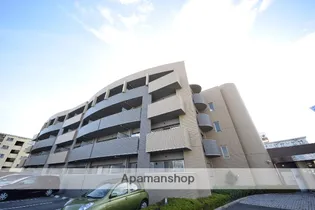 エバーグレイスの画像