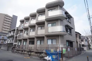 シェーネフレーテの画像