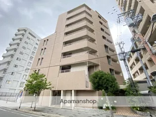 シェーンブルン羽鷹の画像