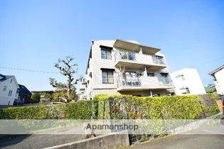 グレース曽根の画像