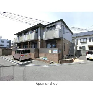 コーラルショウの画像