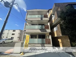 レフィノの画像