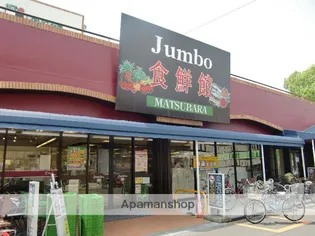 インタースペース松本1番館【3階】の周辺