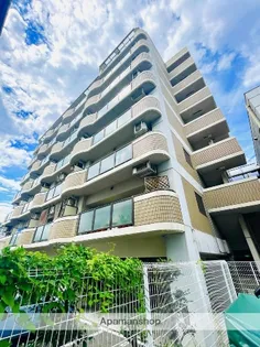 新森グレイスの画像