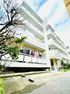 幸栄マンションの画像