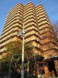 ライオンズマンション大正橋公園の画像