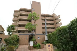 カサベルデ中百舌鳥の画像