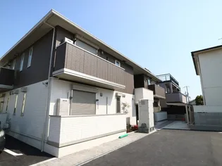 スミレの画像