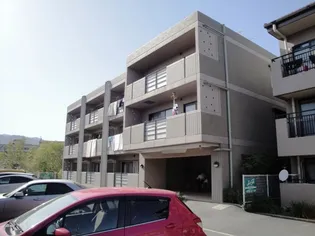 兵庫県西宮市上ケ原六番町【マンション】の外観