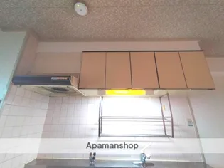 ビューハイム茶の木【306号室】の内装