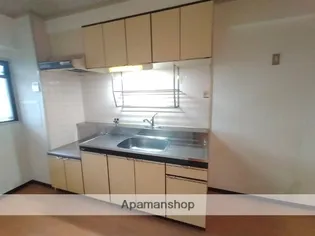 ビューハイム茶の木【306号室】のキッチン