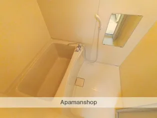 ビューハイム茶の木【306号室】の風呂