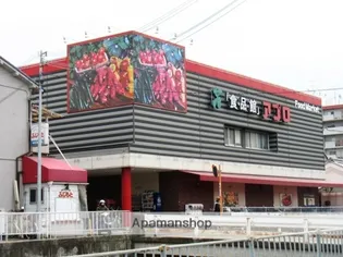 ビューハイム茶の木【306号室】の周辺