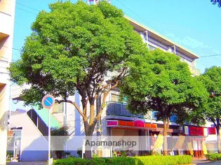 第8豊マンションの画像