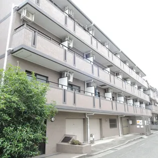 コージ コート クイセの画像