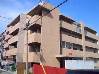 プリムヴェールの画像