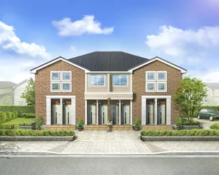 プラシードの画像