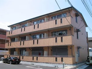 サザングレイスの画像