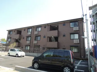 グレイス コスモスの画像