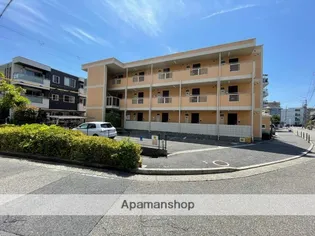 カームカーサの画像