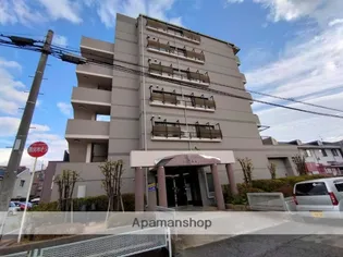 レキオ荒木の画像