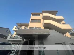 フローレンステラモトの画像