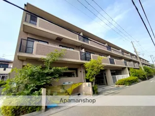 ルミエールの画像