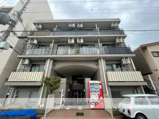 レディーススペアライフの画像