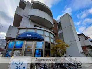 パールコートの画像