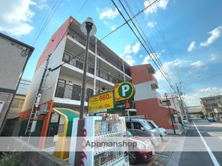 アルカディアマーユの画像