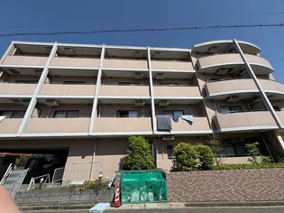 リッツメイトの画像