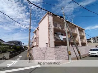 甲子園パインマンション【3階】の外観