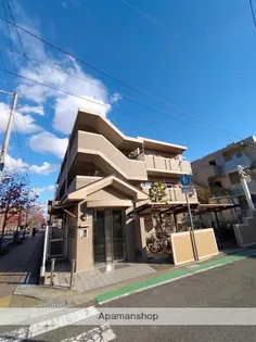 グレース17の画像