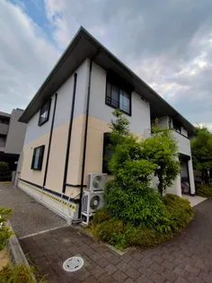 チェリーバレイZの画像